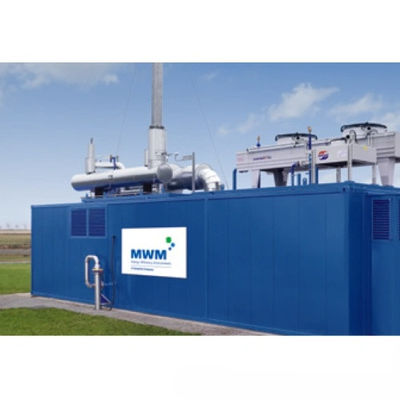 Inline Biogas Electricity Generator 100 KW Bio Gas Genset Electric Start