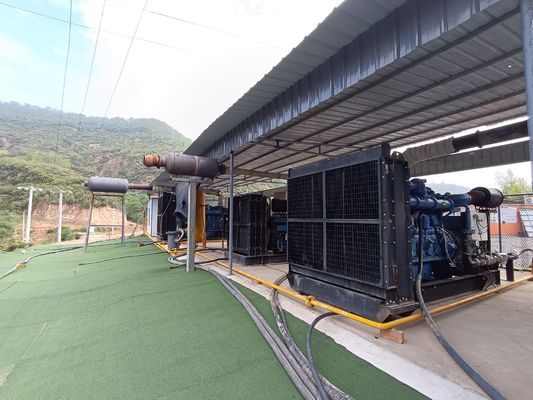 Yuchai Multi Fuel Generator Multi Cylinder Dual Fuel Quiet Generator