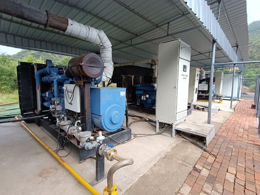 3 Cylinder Quiet Generator Dual Fuel Genset Three Phase 60HZ